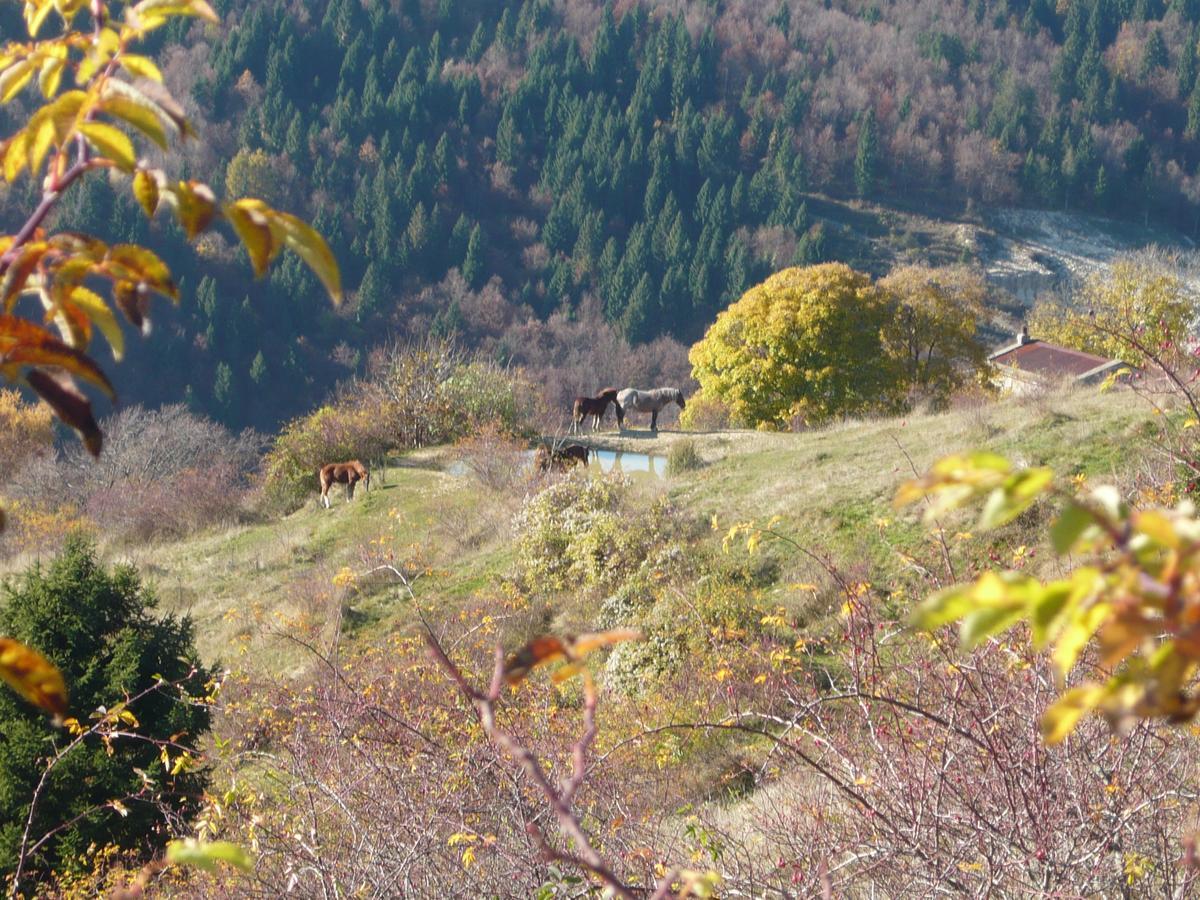 Hotel Belvedere Roana Εξωτερικό φωτογραφία